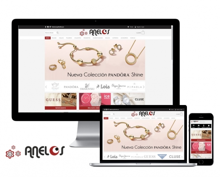 portfolio-anelos